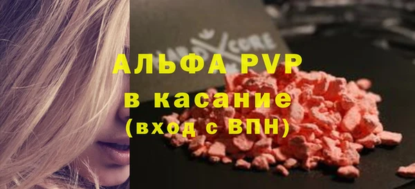 стаф Осташков