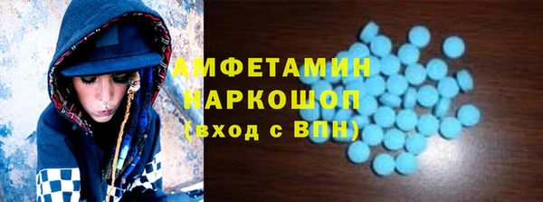 индика Осинники