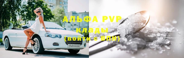 стаф Осташков