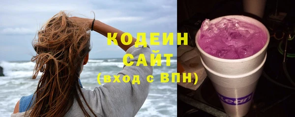 индика Осинники