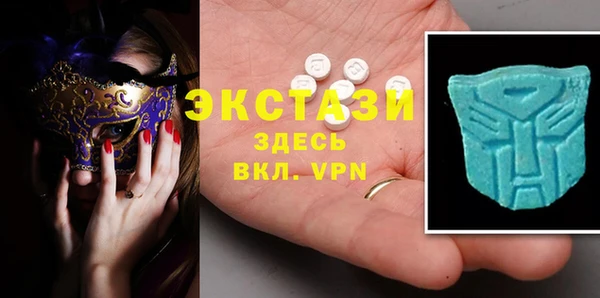 индика Осинники