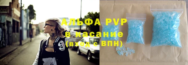 стаф Осташков