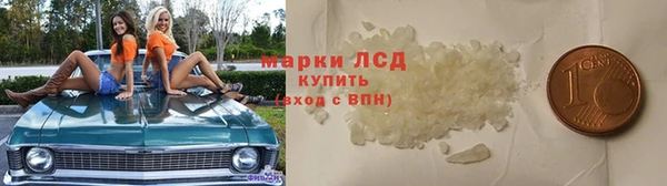 стаф Осташков