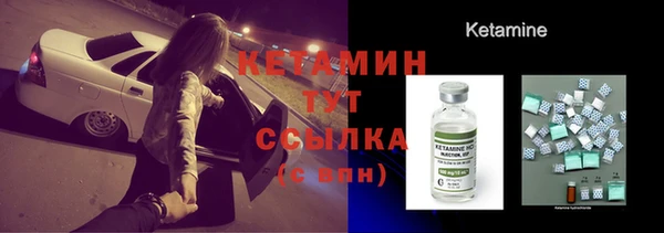 индика Осинники