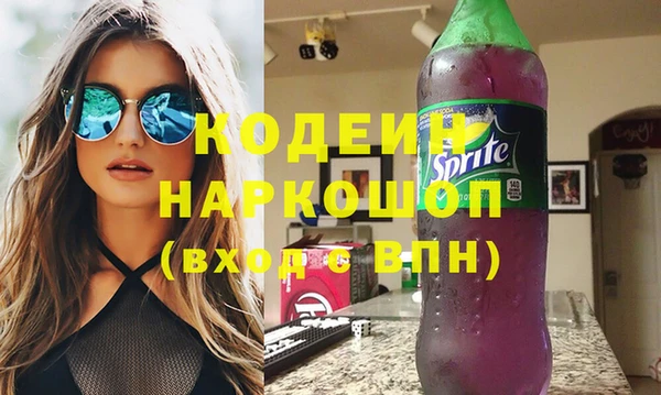 индика Осинники