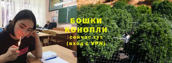 индика Осинники