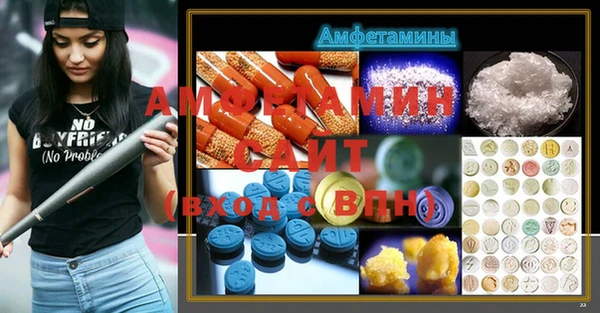 индика Осинники