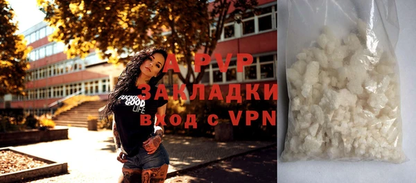 стаф Осташков