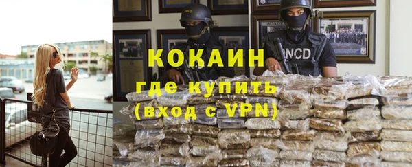 стаф Осташков