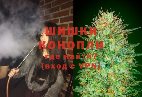 индика Осинники