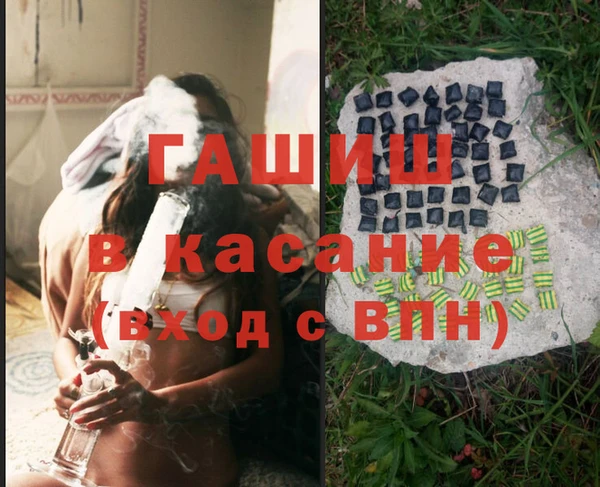 индика Осинники