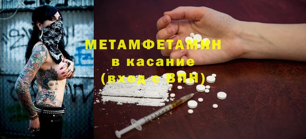 индика Осинники
