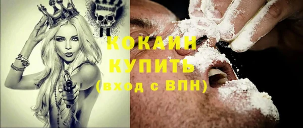 индика Осинники