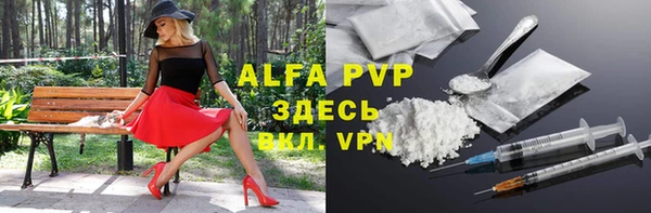 стаф Осташков