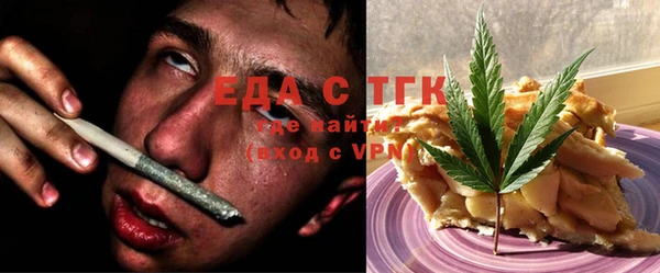 индика Осинники