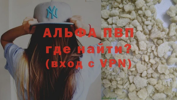индика Осинники