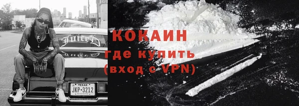 индика Осинники