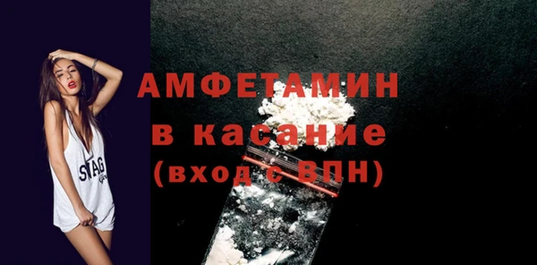 индика Осинники