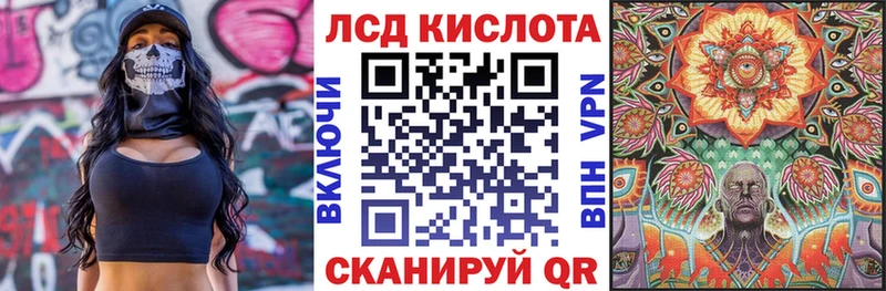 KRAKEN как войти  Владивосток  Наркотические марки 1,5мг 
