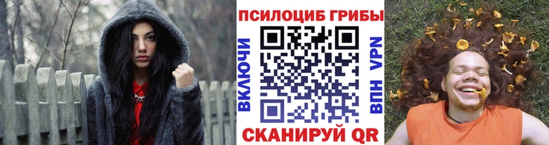 darknet официальный сайт  Владивосток  Галлюциногенные грибы мицелий 
