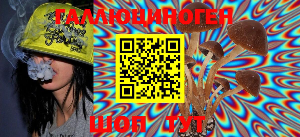 Псилоцибиновые грибы мухоморы  Псилоцибиновые грибы ЛСД  закладка  Владивосток 