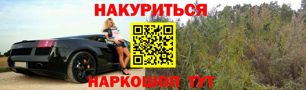 Бошки Шишки планчик Владивосток